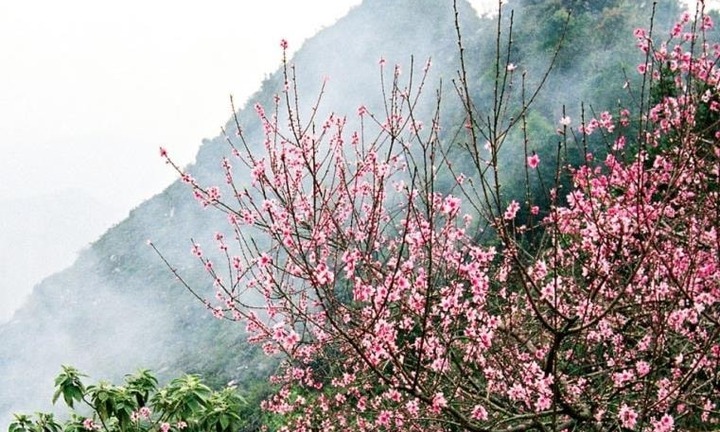 Tin tức dự báo thời tiết hôm nay 9/2: Bắc Bộ tiếp tục có mưa, trời rét