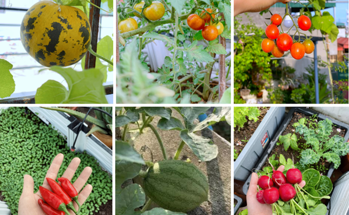 Biến sân thượng nhỏ hẹp thành 