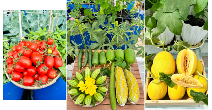 Sự thật về người phụ nữ Đồng Nai nhiều năm 