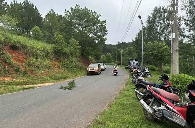 Phát hiện thi thể nam giới có nhiều hình xăm gần hồ Tuyền Lâm, nạn nhân có đặc điểm gì?