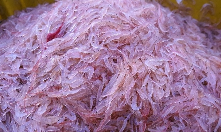 Loại thực phẩm không cần bóc vỏ, càng nhỏ càng đắt, là 