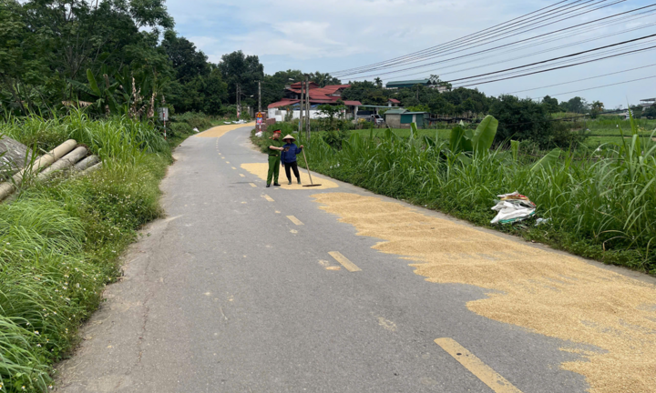 Cố tình phơi lúa, rơm rạ trên đường bị xử phạt ra sao?