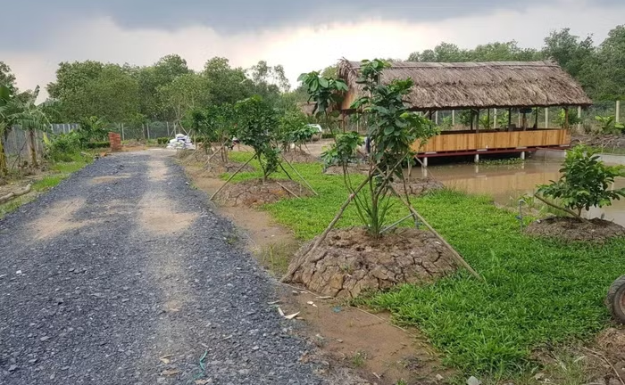 Đất không có nguồn gốc vườn, ao có được giảm tiền sử dụng đất?
