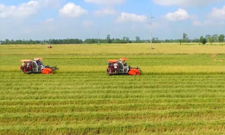 Xác định thời hạn sử dụng đất nông nghiệp thế nào?