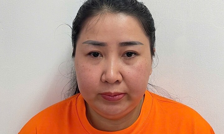 Lừa góp vốn, 