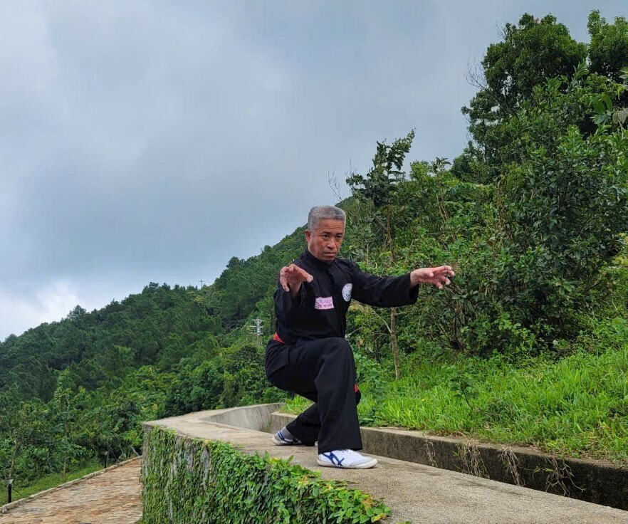 Võ sư Bùi Đăng Văn đã có hơn 40 năm gắn bó cùng võ cổ truyền, ông là gương mặt tiêu biểu trong việc bảo tồn và phát triển võ thuật dân tộc.