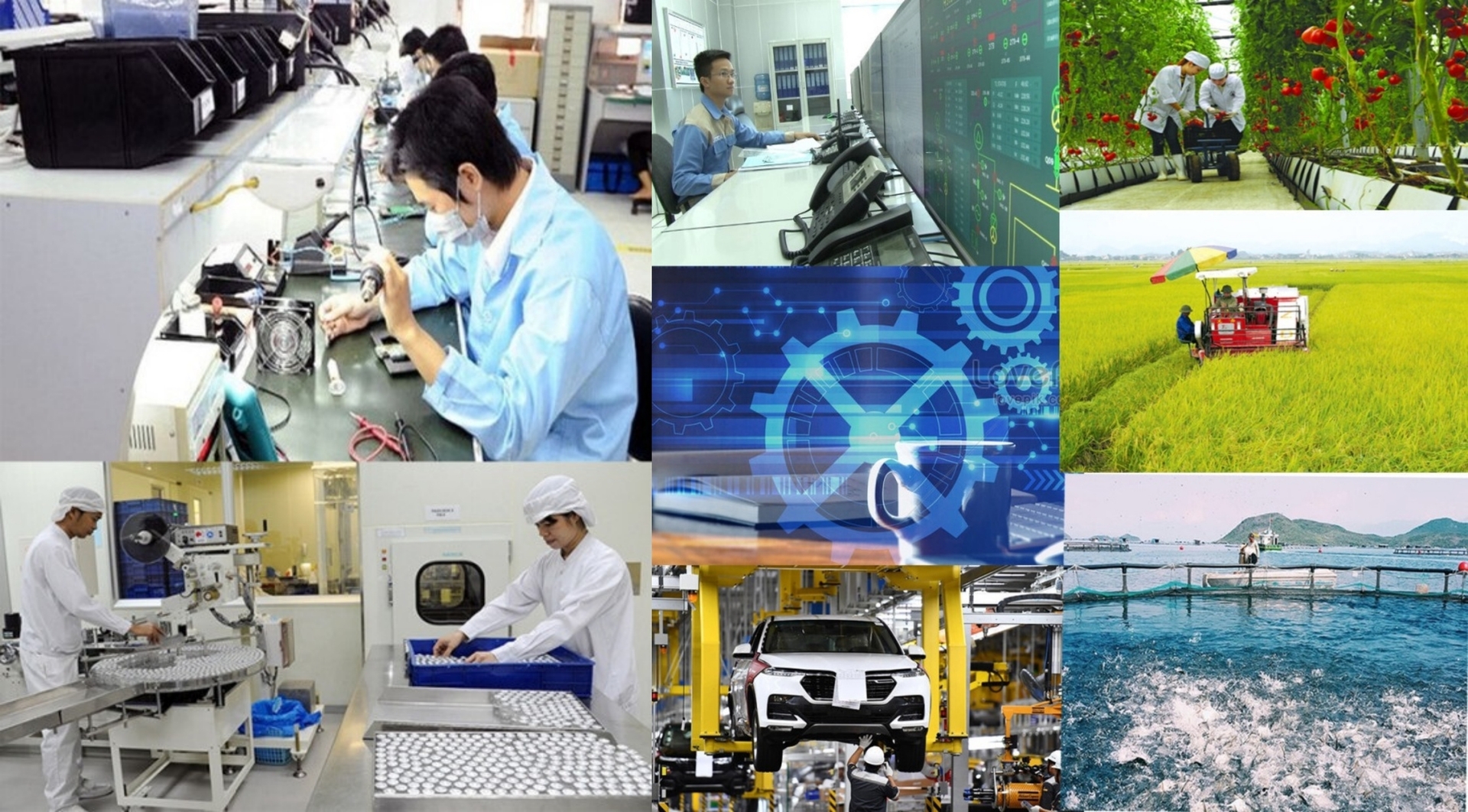 PGS.TS Ngô Trí Long: Nghị quyết 68 là "cú hích" thúc đẩy một hệ sinh thái kinh doanh công bằng, hiệu quả - 6