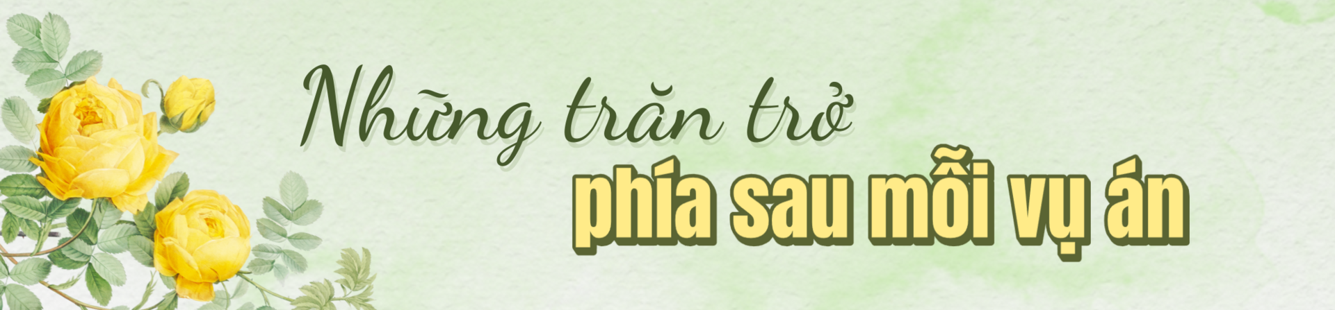 Chuyện nghề của nữ điều tra viên hơn một thập kỷ lần theo dấu tội phạm - 3