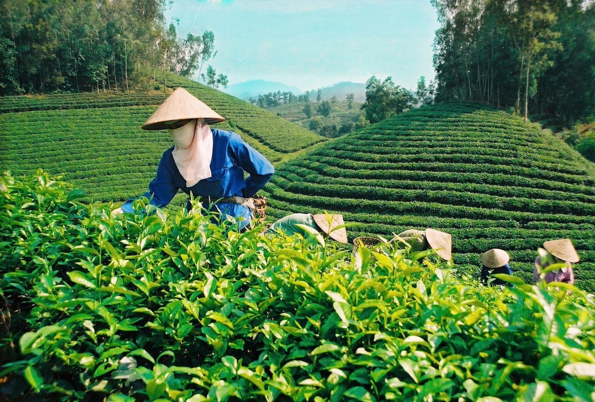 “Mạch dẫn” tạo đà tăng trưởng kinh tế 2 con số - 6