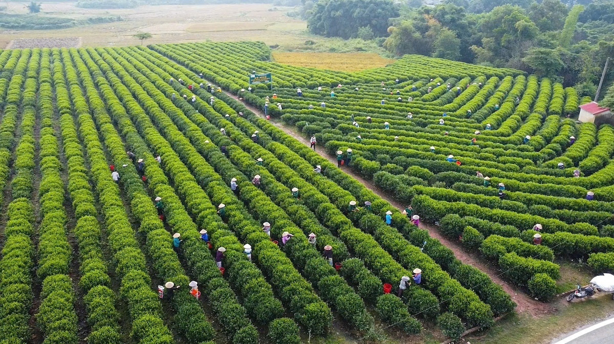 “Mạch dẫn” tạo đà tăng trưởng kinh tế 2 con số - 5
