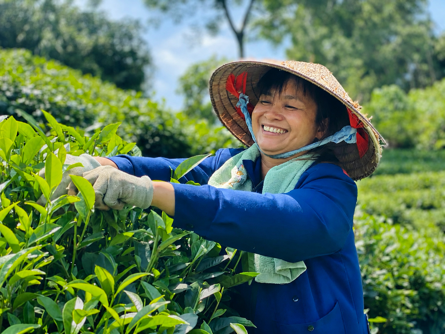 “Mạch dẫn” tạo đà tăng trưởng kinh tế 2 con số - 7