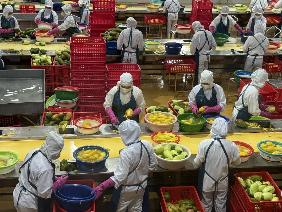 “Mạch dẫn” tạo đà tăng trưởng kinh tế 2 con số - 13