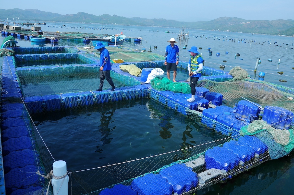 “Mạch dẫn” tạo đà tăng trưởng kinh tế 2 con số - 11