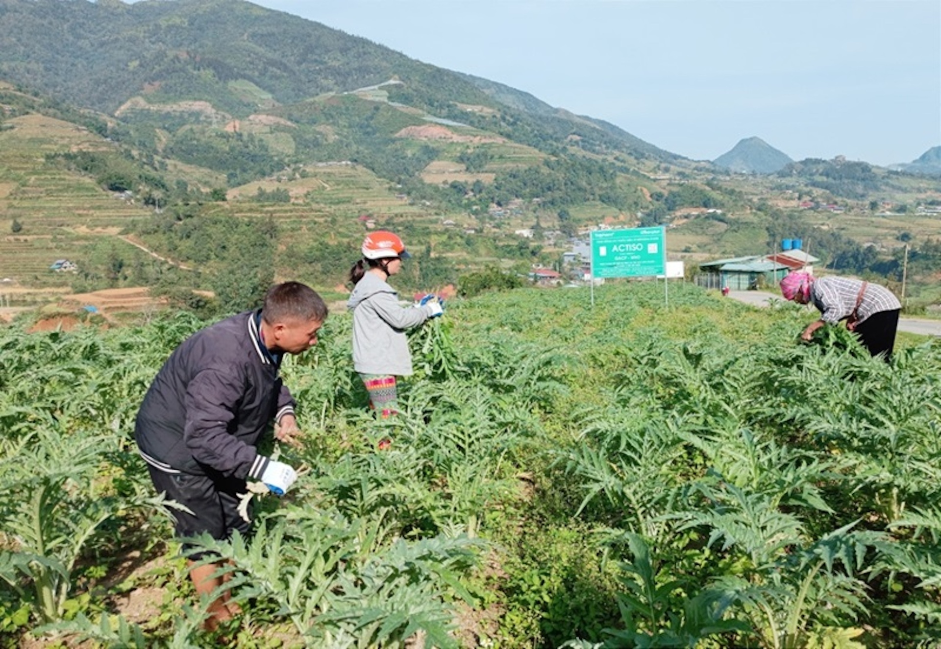Chủ tịch UBND tỉnh Lào Cai Nguyễn Tuấn Anh: Khai mở tiềm năng “mỏ vàng xanh” vùng cao - 3