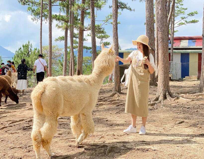 Vườn thú ZooDoo