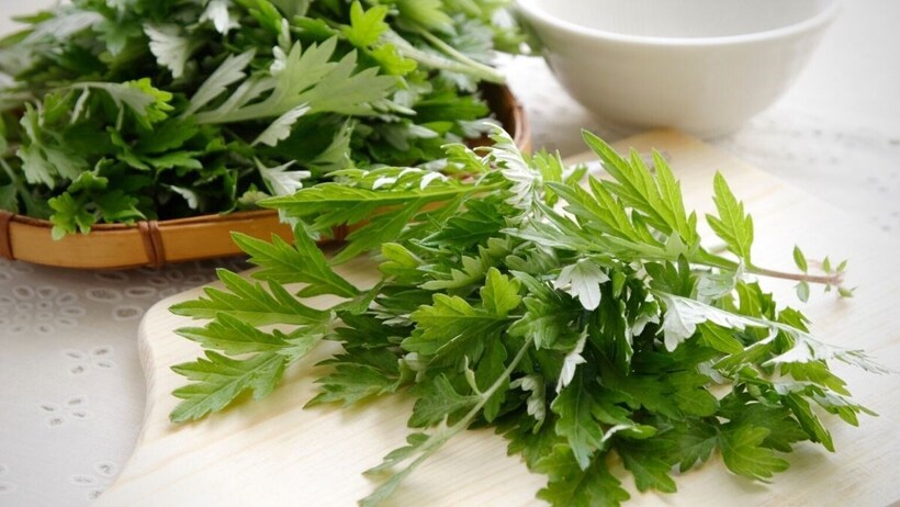 Loại rau khá quen thuộc với người Việt, được coi là "thần dược" của phụ nữ.