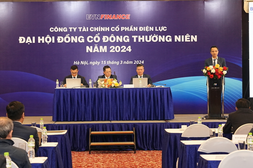EVNFinance miễn nhiệm một Phó tổng giám đốc - 1