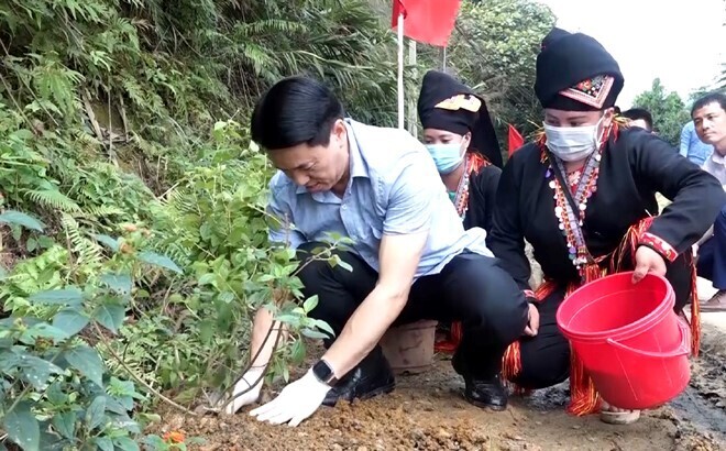 Đồng chí Luyện Hữu Chung - Bí thư huyện ủy Văn Yên trồng hoa tuyến đường hoa tại xã Xuân Tầm