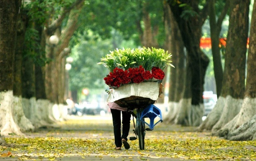 Kim Mã - Hoàng Diệu - Phan Đình Phùng ưu ái đặt cho những cái tên như “con đường đẹp nhất” hay “con đường tình yêu”.