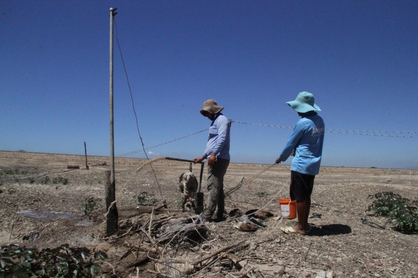 Theo Chi cục Thủy lợi tỉnh Kon Tum, địa phương có 80 hồ chứa thủy lợi. Do vào cao điểm mùa khô, nắng nóng diễn ra trên diện rộng, mực nước ở các hồ chứa, các công trình thủy lợi đang xuống thấp, đạt khoảng 60% công suất thiết kế.
