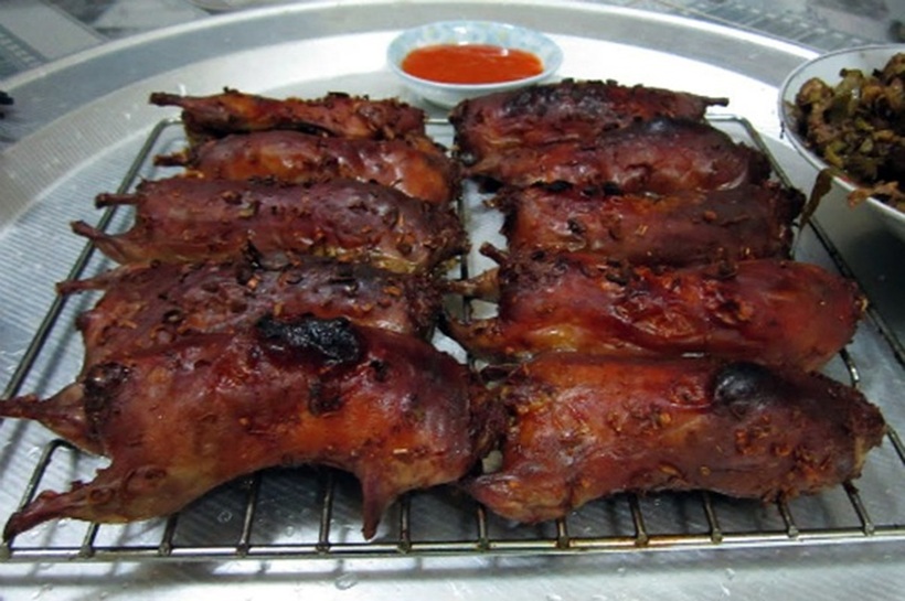 Chuột có thể mang nhiều loại vi khuẩn, virus và ký sinh trùng.