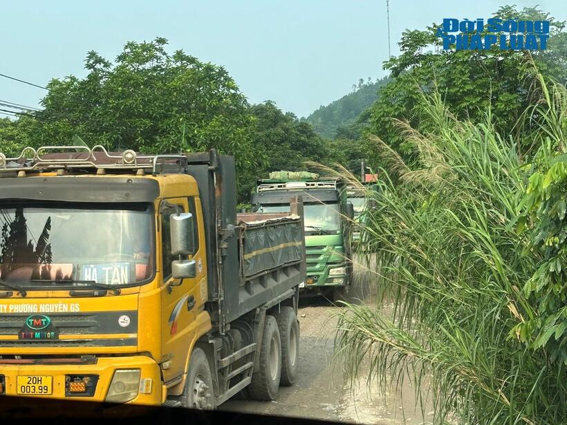 Đoàn xe tải trọng lớn nối đuôi nhau vào mỏ đá lấy hàng