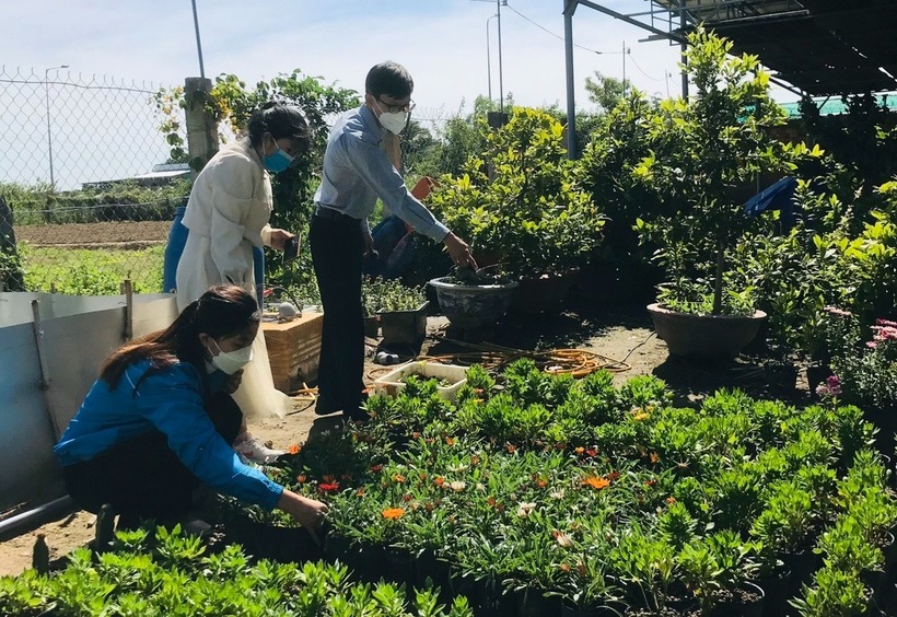 Mô hình này đặc biệt thuận lợi khi kết hợp nuôi ở các trại hoa, farm, vườn cây trái. Ảnh: Dân trí