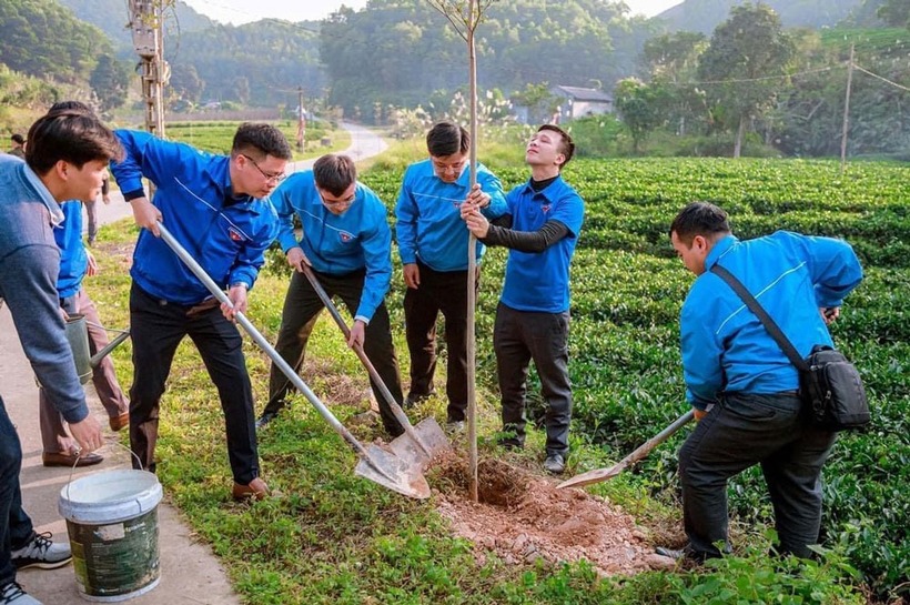 Sinh viên ngành Công tác xã hội thường làm việc tại các cơ sở do chính phủ hoặc phi chính phủ quản lý. Do đó, mức lương của ngành này có thể không cạnh tranh so với các ngành nghề khác. Ảnh minh họa