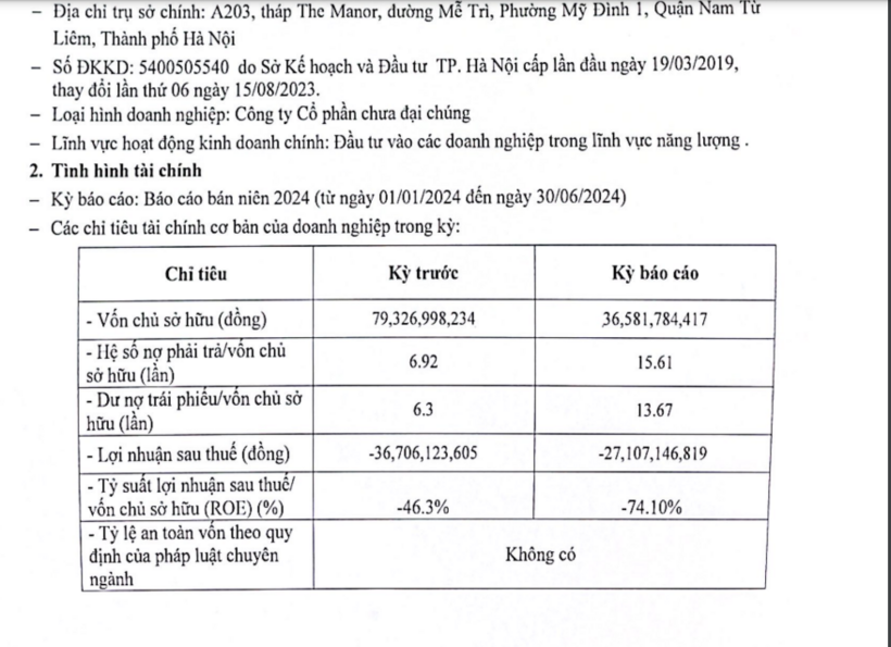 Các chỉ tiêu tài chính của Năng lượng Hoàng Sơn 2 tại ngày 30/6/2024.