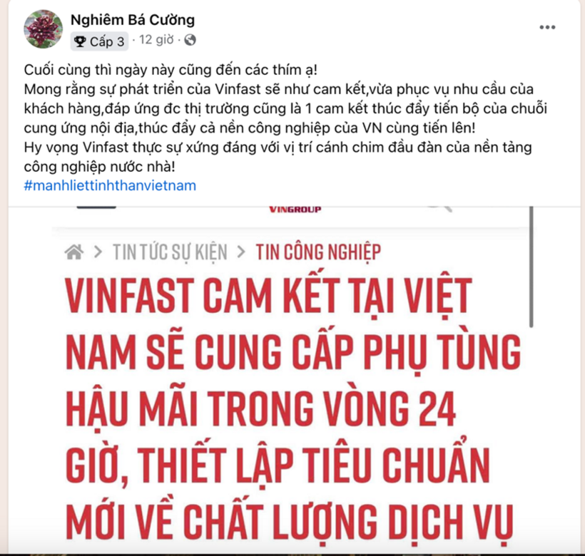 Một thành viên nhóm VF 5 trên Facebook bày tỏ sự ủng hộ với cam kết của VinFast