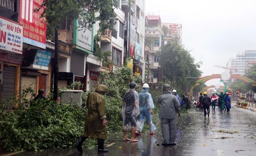 Lực lượng chức năng thành phố Thái Bình thu dọn cây đổ trên đường Lê Lợi, thành phố Thái Bình. (Ảnh: TTXVN)