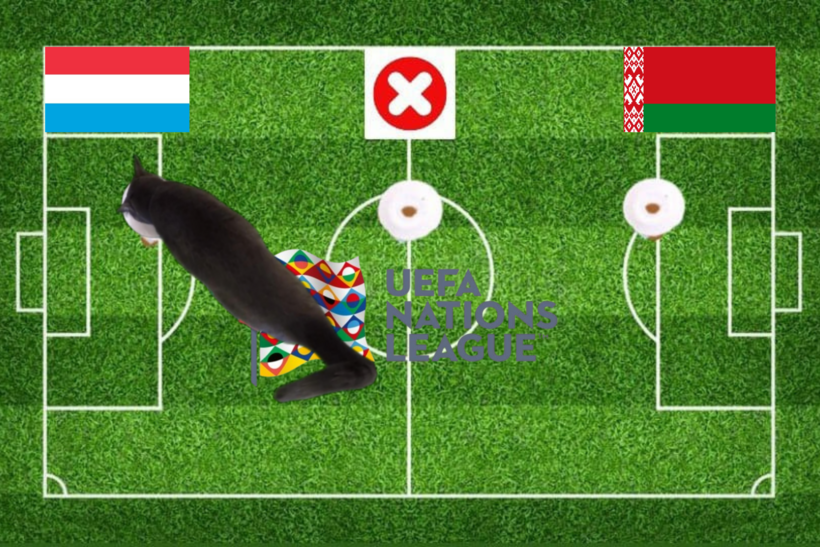 Lựa chọn của chú mèo đầu tiên trước trận đấu Luxembourg vs Belarus