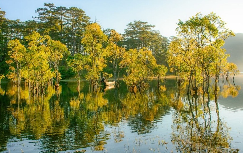 Suối Tía khoác lên mình vẻ đẹp lãng mạn khi vào mùa cây thay lá và ra chồi non lúc xuân về, thu hút các nhiếp ảnh gia tới sáng tác và những du khách ưa thích vẻ đẹp thiên nhiên. (Ảnh: VnExpress)