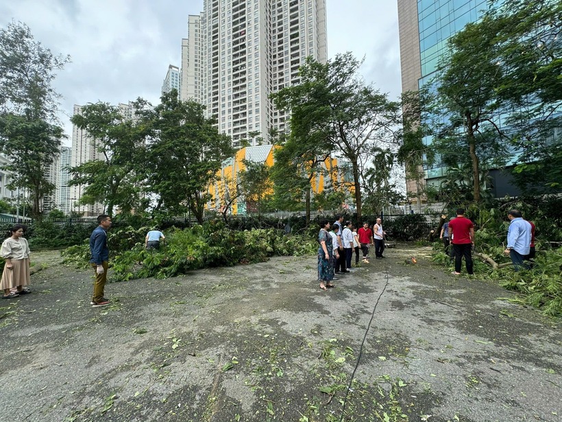 Trường THPT chuyên Hà Nội - Amsterdam chuyển sang dạy học trực tuyến do ảnh hưởng của bão số 3. Ảnh: Đại đoàn kết