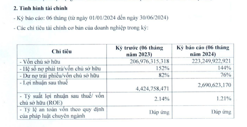 Các chỉ tiêu tài chính của Bkav Pro tại thời điểm ngày 30/6/2024. Ảnh chụp màn hình.