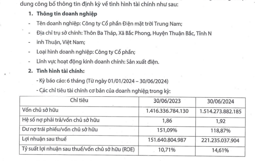 Các chỉ số tài chính của Điện mặt trời Trung Nam tại ngày 30/6/2024.