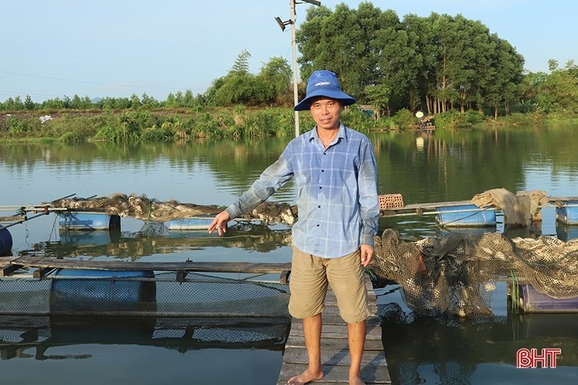 Anh nông dân  Hà Tĩnh doanh thu 1,5 tỷ/năm nhờ nuôi cá diêu hồng - loài cá dễ nuôi, có sức đề kháng tốt trên sống Trí. Ảnh: Báo Hà Tĩnh