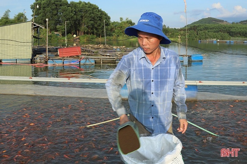 Anh Tuấn cho cá ăn hàng ngày. Ảnh: Báo Hà Tĩnh