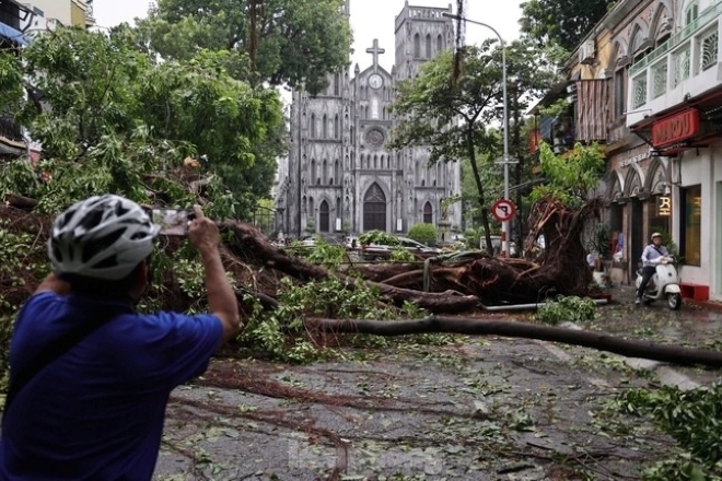 Nhiều cây xanh trên địa bàn thành phố hà Nội gãy, đổ sau bão số Yagi. Ảnh: Tiền phong