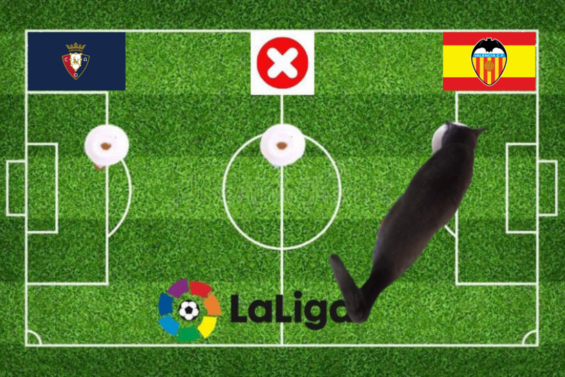 Lựa chọn của chú mèo tiên tri trước trận Valencia vs Osasuna