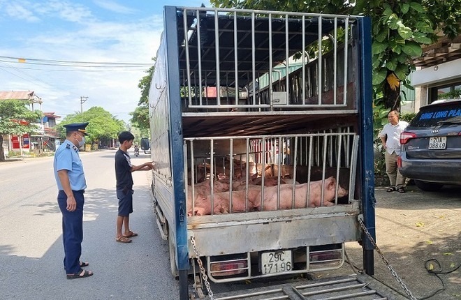 Đoàn Kiểm tra Liên ngành cơ động của tỉnh Thái Nguyên kịp thời phát hiện, tiêu hủy gần 800kg lợn đã chết và có biểu hiện mắc bệnh. Ảnh: An Ninh Thủ Đô