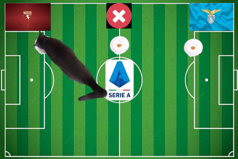 Lựa chọn của mèo tiên tri trước trận Torino vs Lazio