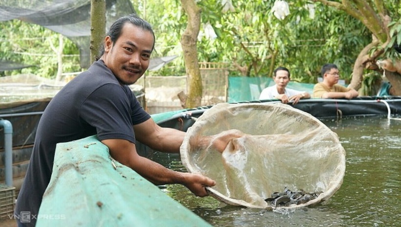 Bỏ chốn đô thị phồn hoa, anh thanh niên Nguyễn Chí Tâm về quê "lội bùn non" nuôi cá đặc sản thu tiền tỷ. Ảnh: VnExpress