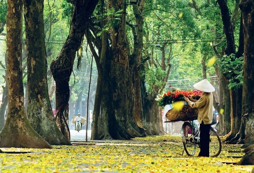 Đợt không khí lạnh đang "tràn" khắp miền Bắc làm cho thời tiết các khu vực chuyển mát, nhiệt độ ở Hà Nội phổ biến 19-22 độ C.