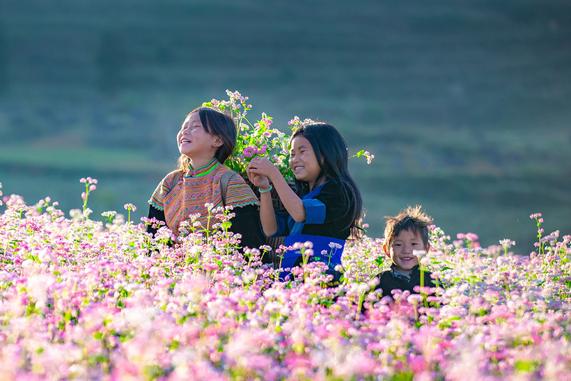 Ngắm hoa và tìm hiểu về cuộc sống và văn hóa của người dân tộc thiểu số ở Hà Giang.