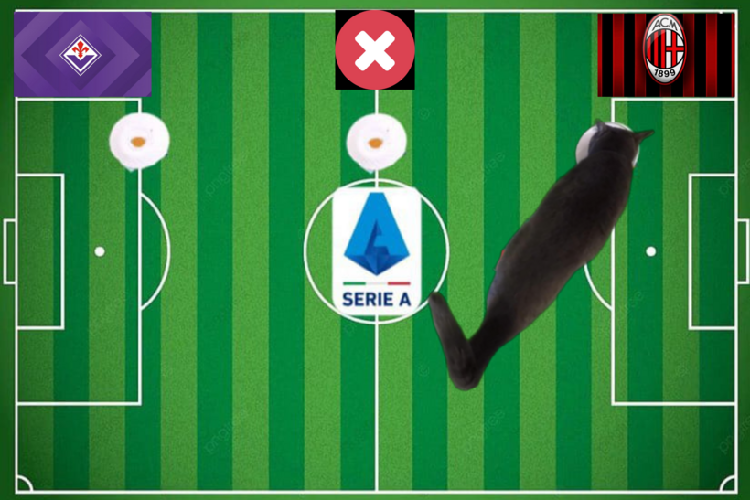 Lựa chọn của chú mèo tiên tri trước trận Fiorentina vs AC Milan