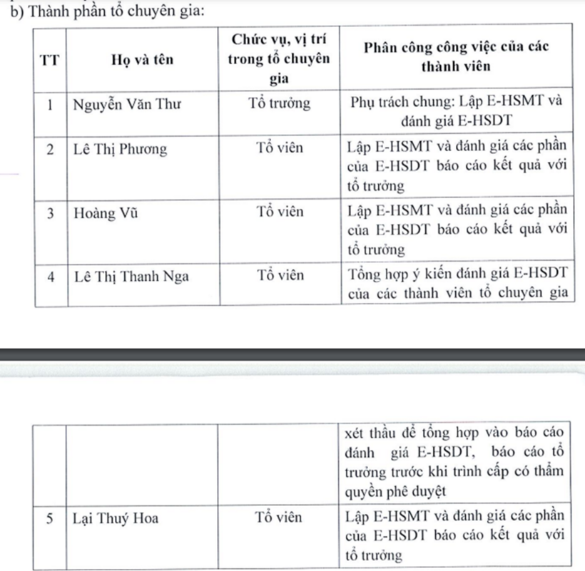 Danh sách thành phần tổ chuyên gia. Nguồn báo cáo E-HSDT.