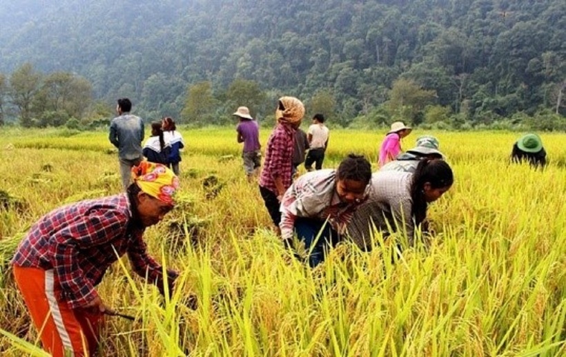 Huyện Xí Mần, Hà Giang chú trọng công tác giảm nghèo, phát triển đời sống cho người dân