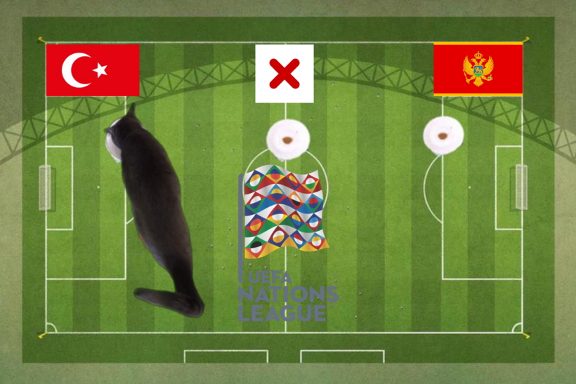 Lựa chọn của chú mèo tiên tri trước trận Thổ Nhĩ Kỳ vs Montenegro