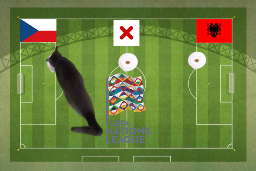 Lựa chọn của chú mèo tiên tri trước trận CH Séc vs Albania